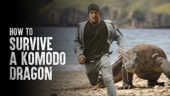 Preview image for the video "How To Survive a Komodo Dragon Attack".