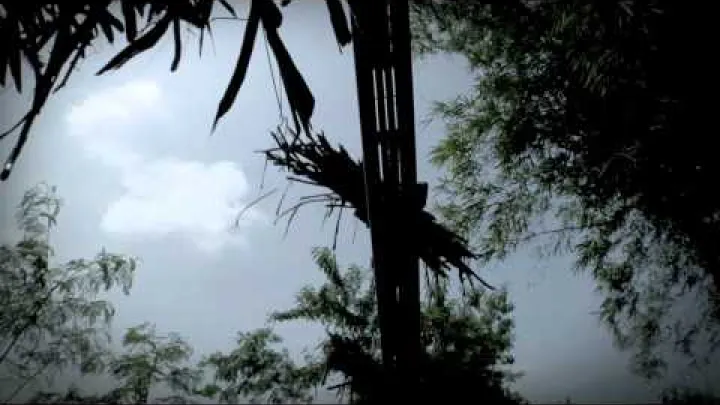 Preview image for the video "PUREZA The Story of Negros Sugar (Full Trailer)".