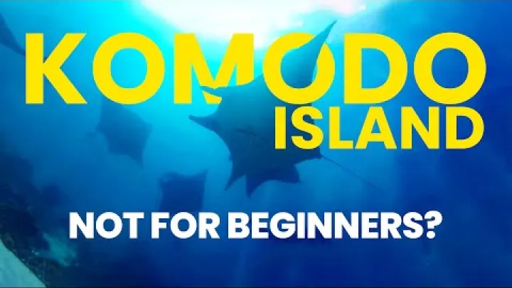 Preview image for the video "ਕੋਮੋਡੋ ਟਾਪੂਆਂ ਦੇ ਸੁਖ ਸਥਾਨ ਵਿੱਚ ਸਕੂਬਾ ਡਾਈਵਿੰਗ ਲਈ ਤੁਹਾਡਾ ਅੰਤਿਮ ਮਾਰਗਦਰਸ਼ਨ".