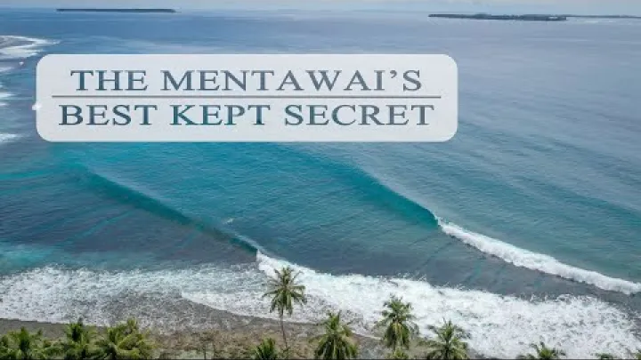 Preview image for the video "MENTAWAI MEST BEVARADE HEMLIGHET - MELLANSAESONG".