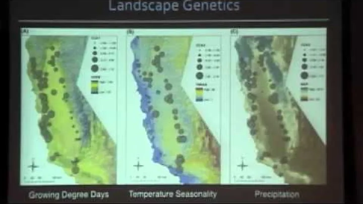 Preview image for the video "கோரைல் டிரயாங்கிள் இல் கடல் जैவவித்தியத்தின் தொடக்கம் மற்றும் பாதுகாப்பை புரிந்துகொள்வது".