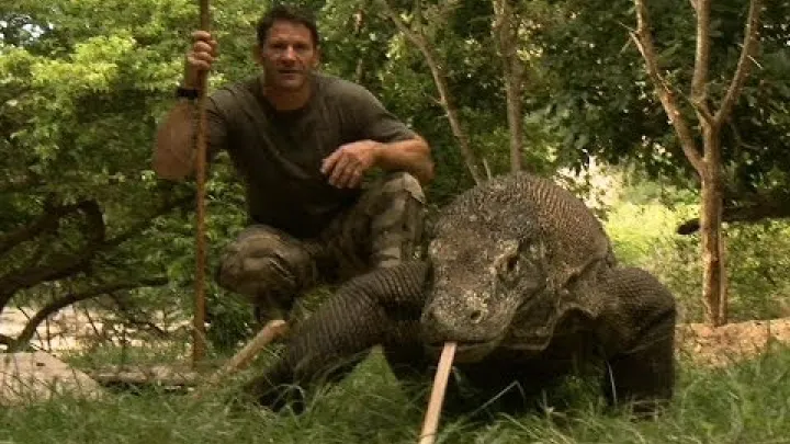 Preview image for the video "Largest Lizard on Earth | The Komodo Dragon | Deadly 60 | Indonesia | Series 3 | BBC".