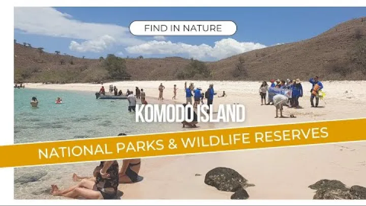 Preview image for the video "ਕੋਮੋਡੋ ਟਾਪੂ ਦੇਖਣ ਦਾ ਸਭ ਤੋਂ ਵਧੀਆ ਸਮਾਂ | ਸੁੱਕਾ ਮੌਸਮ ਅਪ੍ਰੈਲ ਤੋਂ ਨਵੰਬਰ ਤੱਕ".