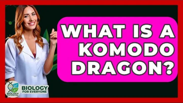 Preview image for the video "ਕੋਮੋਡੋ ਡ੍ਰੈਗਨ ਕੀ ਹੈ - ਹਰ ਇੱਕ ਲਈ ਜੀਵ ਵਿਗਿਆਨ".