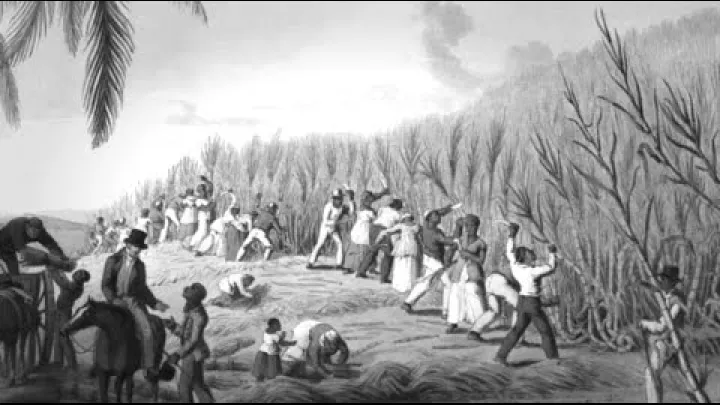 Preview image for the video "Mitä oikeastaan tapahtui viljelyjärjestelmässä? | Indonesian historia".