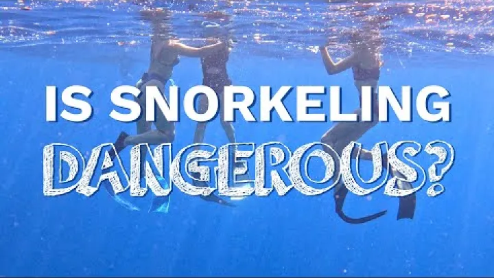 Preview image for the video "O snorkeling é perigoso? 6 dicas salvadoras para nao nadadores de especialistas em mergulho livre".