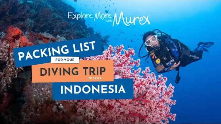 Preview image for the video "இந்தோனேசியா டைவிங் பயணத்திற்கு என்ன_ep 1 | Murex Resorts உடன் கூடுதலாக ஆய்வு".
