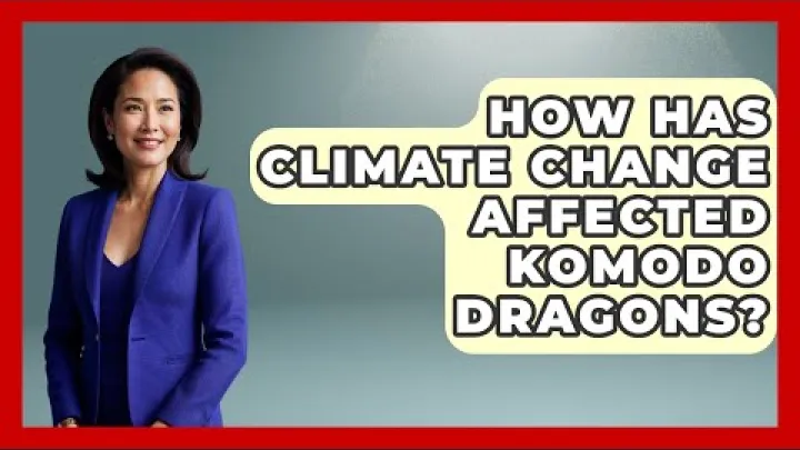 Preview image for the video "موسمی تبدیلی نے کوموڈو ڈریگنز نوں کیونکر متاثر کیتا - جنوبی مشرقی ایشیا دی کھوج".
