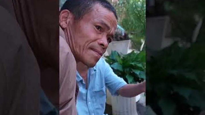 Preview image for the video "Vietnamesisk Dag för Barns Heder: En Kulturtradition du Inte Får Missa #family #charity #grandfather".