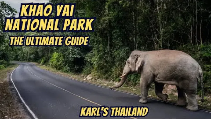 Preview image for the video "Verborgen geheimen van Khao Yai National Park - Ultieme gids".