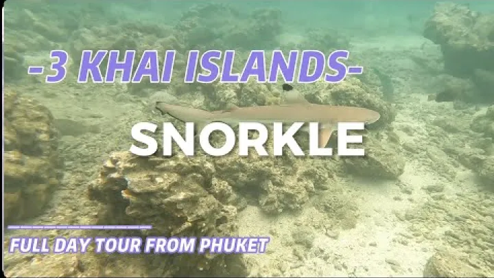 Preview image for the video "Snorkling i Phuket, Thailand 🌊 | Min ärliga upplevelse och resetips".