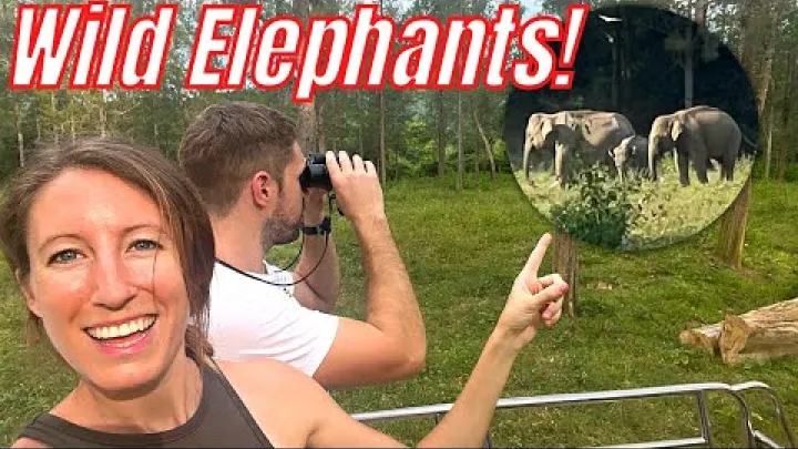 Preview image for the video "We zagen WILDE OLIFANTEN! Hua Hin, Pranburi Forest Park, Kui Buri National Park, Thailand reisvlog".