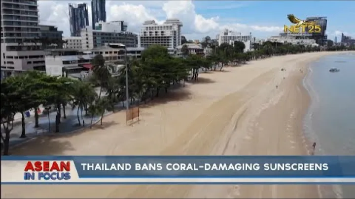 Preview image for the video "תאילנד אוסרת קרמי הגנה שפוגעים בשוניות אלמוגים".