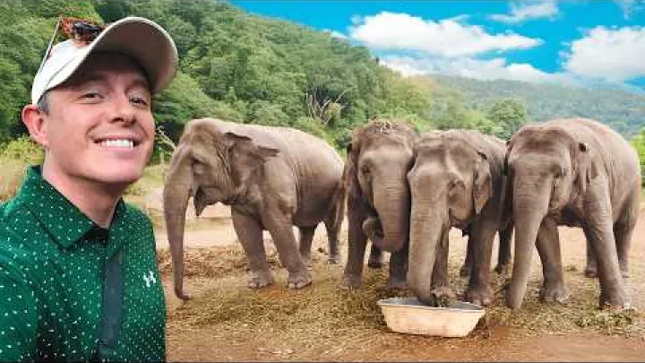 Preview image for the video "Vierailin Thaimaan niin sanotussa eettisimmassa norsujen suojelualueessa 🇹🇭 Rehellinen arvostelu".