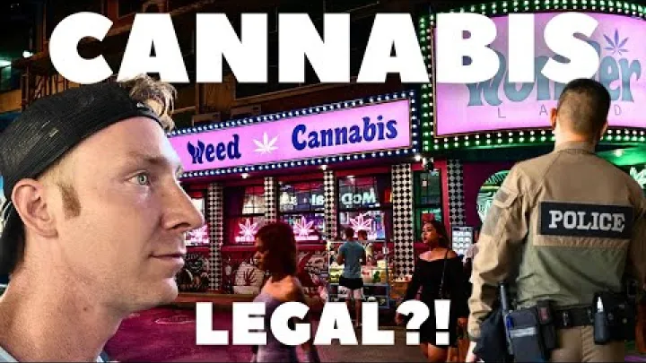 Preview image for the video "泰国大麻法律 - 发生了什么".