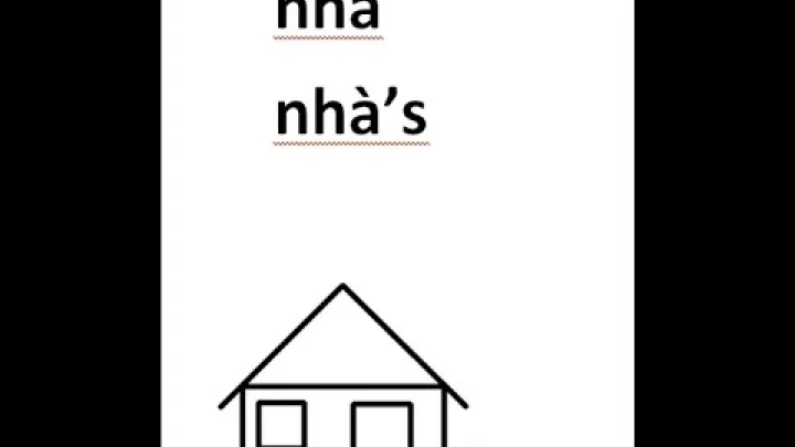 Preview image for the video "Vietnamniskan ar starkt paverkad av kinesiska franska och engelska".