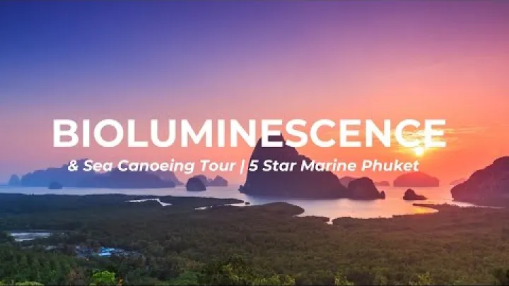 Preview image for the video "تور خلیج فنگ نگا شب تاب و قایق سواری دریایی | 5 Star Marine Phuket".