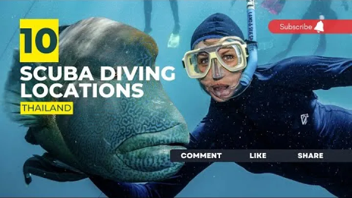 Preview image for the video "[2023] ਥਾਈਲੈਂਡ ਡਾਈਵ ਸਾਈਟਾਂ ਜੋ ਤੁਹਾਨੂੰ ਹੈਰਾਨ ਕਰ ਦੇਣਗੀਆਂ: ਸਿਖਰ ਡਾਈਵਿੰਗ ਥਾਵਾਂ".