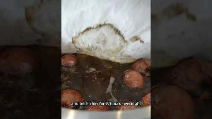 Preview image for the video "13 ਘੰਟੇ Pho ਯਖ਼ਨੀ [ਪੂਰੀ ਰੈਸੀਪੀ ਵਰਣਨ ਵਿੱਚ ਹੈ]".