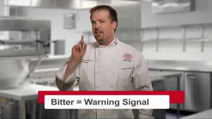 Preview image for the video "உமாமி மற்றும் ஐந்து அடிப்படை ருசிகள்".