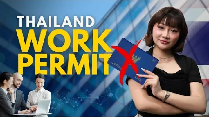 Preview image for the video "Steg for steg guide for att arbeta lagligt i Thailand".