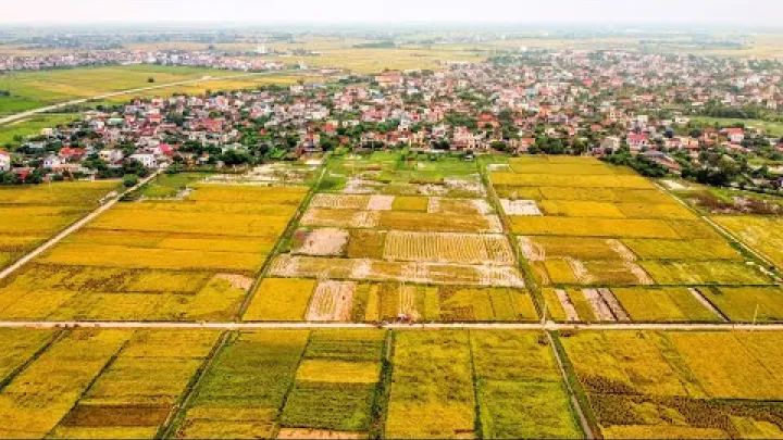 Preview image for the video "Risskörd i Vietnam | Byn Đông Sơn i provinsen Thái Bình | Reselogg av Meigo Märk".