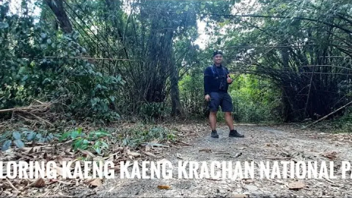 Preview image for the video "Ervaring Kaeng Krachan Nationaal Park | Grootste nationaal park van Thailand".
