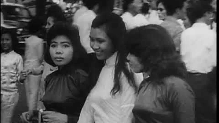 Preview image for the video "The Role of Advisors in Vietnam".