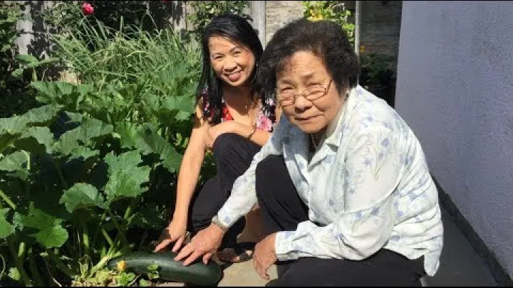 Preview image for the video "Asian Vegetable Herb Garden Tour Cooking What You Grow Vietnamese Food Recipes".