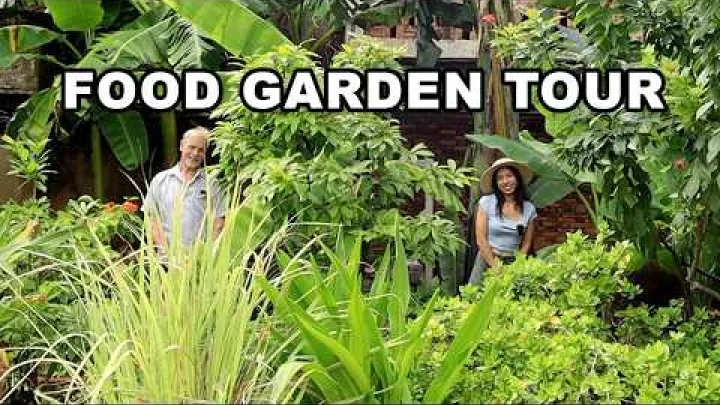 Preview image for the video "American Expat Tropical Food Garden in Vietnam (Part 1) 🌱".