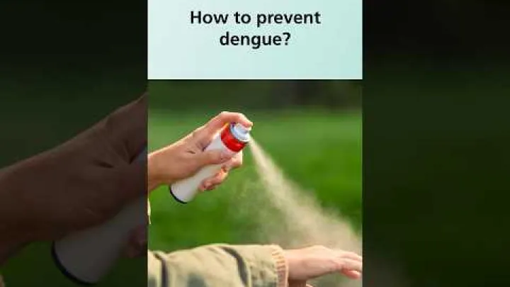 Preview image for the video "How to prevent dengue? #shorts".