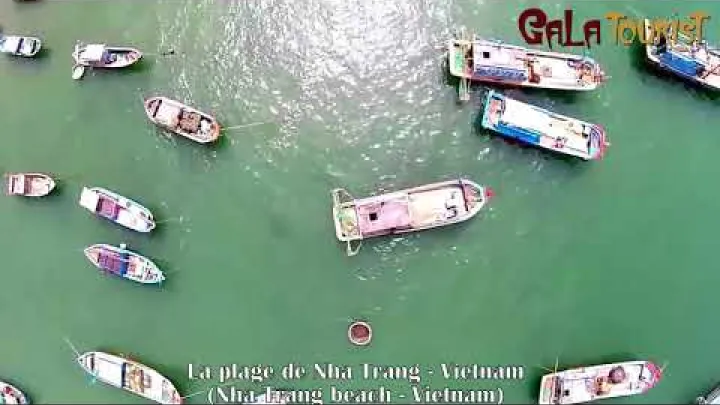 Preview image for the video "Top 7+ krasakajas plazas Vjetnama: Da Nang, Quy Nhon, Nha Trang, Mui Ne, Phu Quoc, Vung Tau".