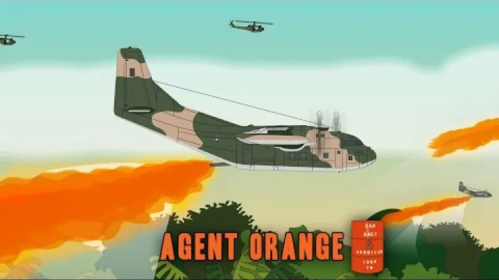 Preview image for the video "Agent Orange (The Vietnam War)".