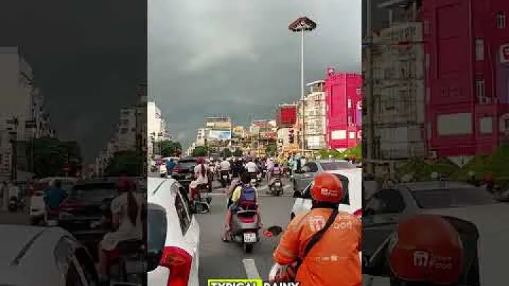 Preview image for the video "Vietnam varshakaalam gurinchi meeku telusukovalsina anni vishayalu".