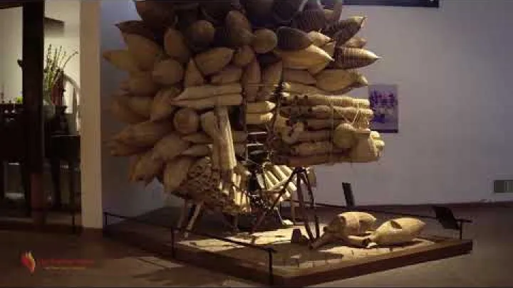 Preview image for the video "Mkusanyiko wa Etnolojia Vietnam | Ziara ya Mji Hanoi | Vivutio vya Hanoi".