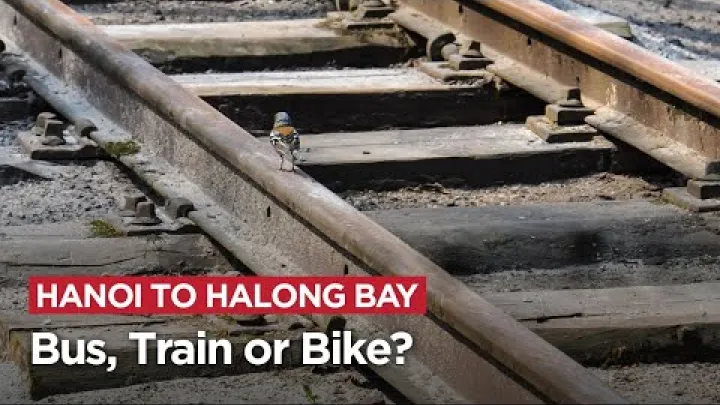 Preview image for the video "Hanoi to Halong Bay by Bus, Train or Bike? Let us compare!".