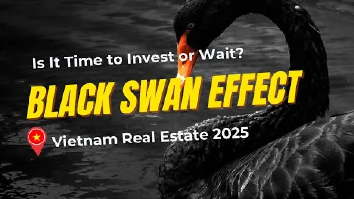 Preview image for the video "2025 সালে ভিয়েতনাম রিয়েল এস্টেটে বিনিয়োগ এখনো কি লাভজনক? | ব্ল্যাক সুয়ান প্রভাব".
