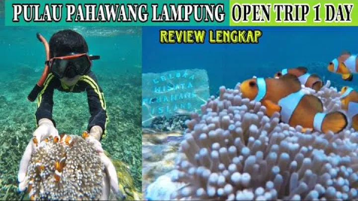 Preview image for the video "Pulau Pahawang, Sumatera, Indonesia - Perjalanan Terbuka 1 HARI Wisata Sumatera, Indonesia - Cadangan pelancongan Pahawang".