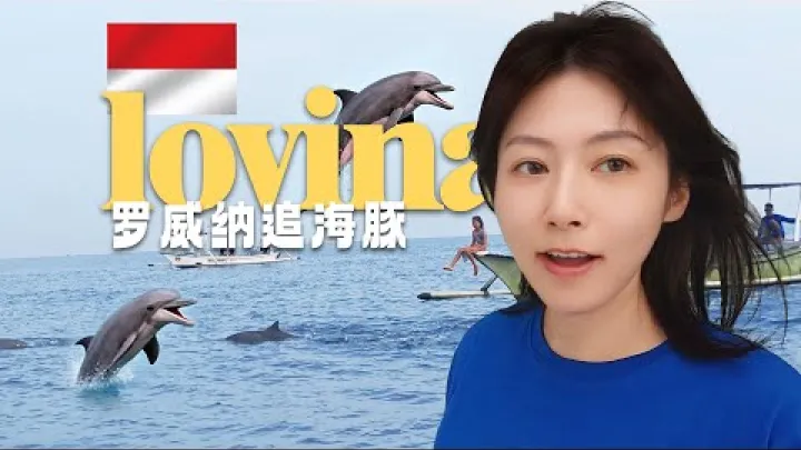 Preview image for the video "[Indonesien] Mirakel till havs under regnperioden, en dag i Lovina på Bali där vi mötte stim av delfiner 🐬🌊".