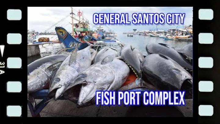 Preview image for the video "General Santos City Fish Port Complex".