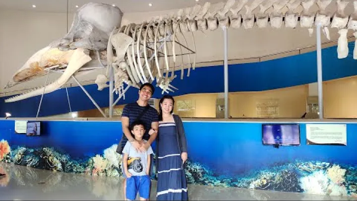 Preview image for the video "Prohlídka muzea Subangan, Mati, Oblast Davao, Filipíny".