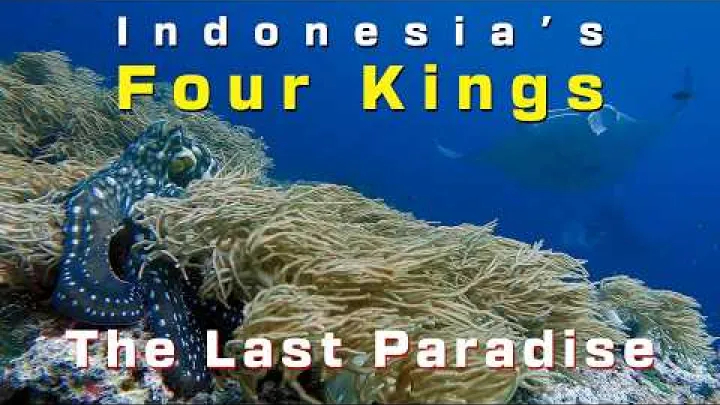 Preview image for the video "10 dní v Raja Ampat, Papua, Indonésie: Poslední ráj – čistá podmořská krása".