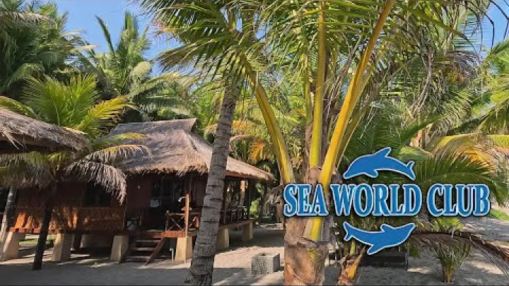 Preview image for the video "Sea World Club Beach Hotel Maumere Flores".