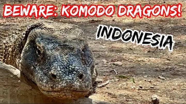 Preview image for the video "🇮🇩 ลาบวนบาโจ, ประเทศอินโดนีเซีย - มังกรโคโมโด, วิวบนยอดเขาเกาะปาดาร์, โรงแรมหรูบนเนินเขา".