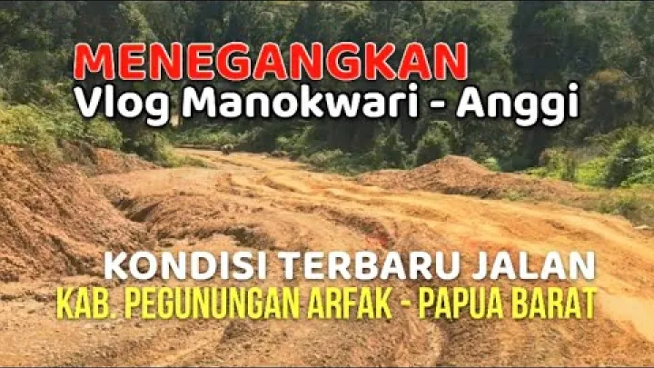 Preview image for the video "Vlog von Manokwari nach Anggi im Arfak-Gebirge - Papua, Indonesien | 02. November 2024 Straße noch nicht asphaltiert".