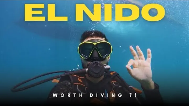 Preview image for the video "POTÁPĚNÍ v El Nido, podmořské divy Palawanu! Co očekávat!".