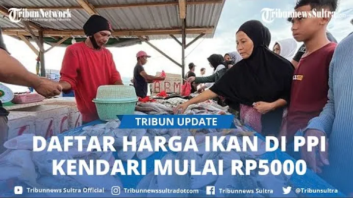Preview image for the video "Prezzi del pesce al mercato ittico di Sodohoa, Kendari, Sulawesi, Indonesia, a partire da 5.000 Rp al chilo".