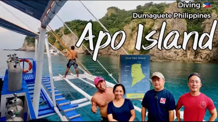Preview image for the video "🇵🇭 🇺🇸 Immersioni ad Apo Island, Dumaguete, Dauin, Filippine #philippines #apoisland #dumaguete #diving".