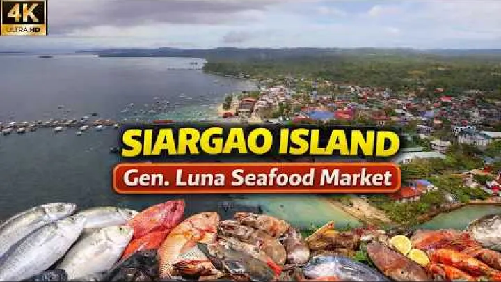 Preview image for the video "Er sjávarfang dýrt í General Luna, Siargao?".
