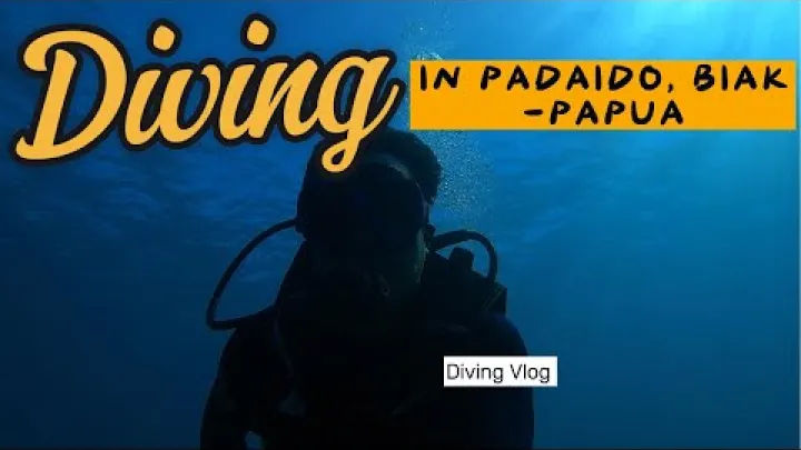Preview image for the video "Potápění v Padaido, Biak - Papua (Část 2)".